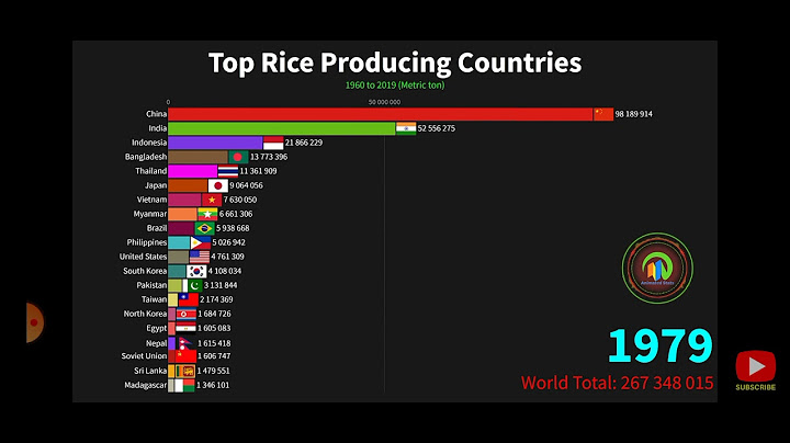 Nước nào sản xuất gạo nhiều nhất thế giới năm 2024