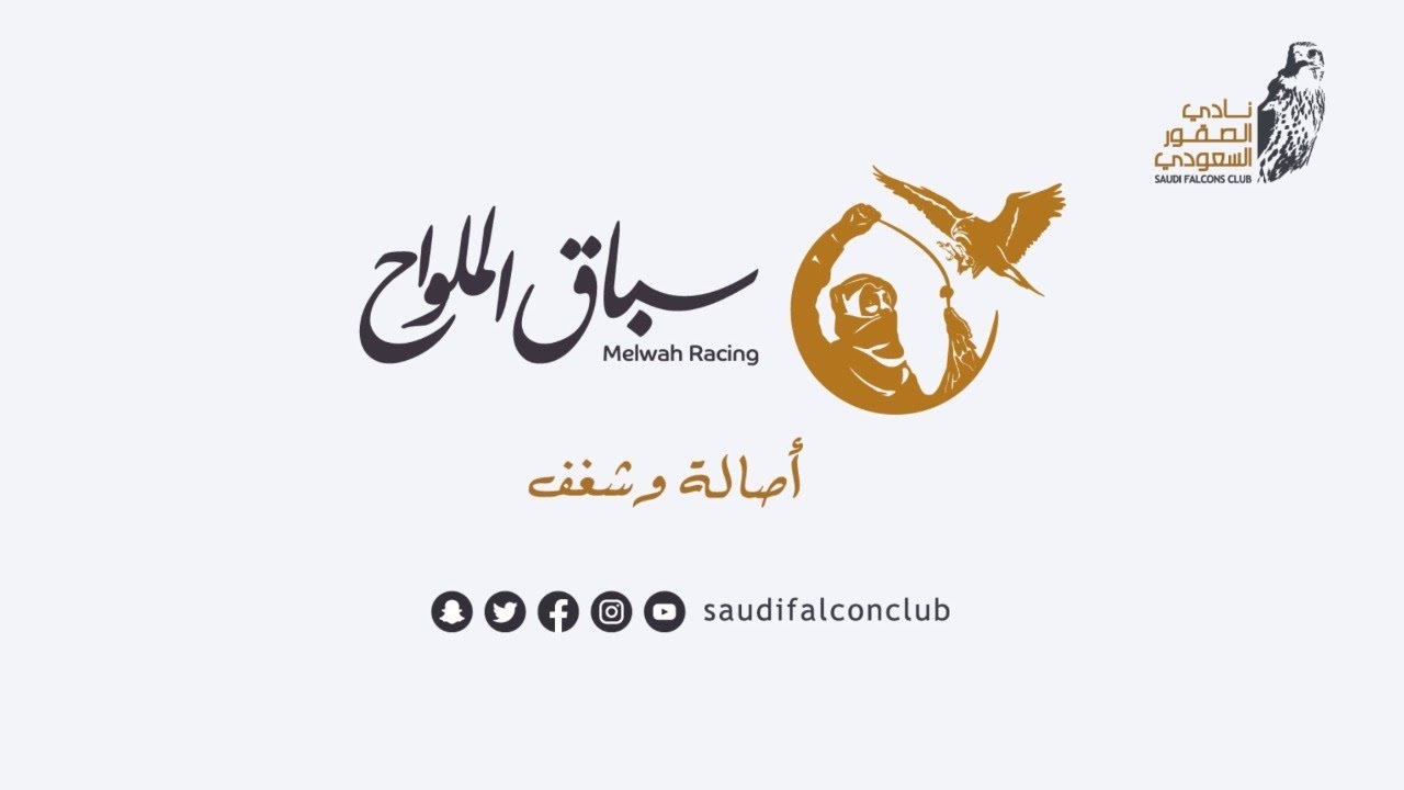 البث المباشر لسباق الملواح  جير تبع قرناس