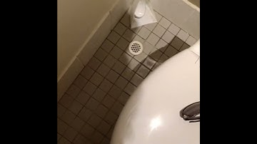 Tracer gas leak detection done by Wizard Leak Detection Mandurah out in Waroona WA. #waterleak