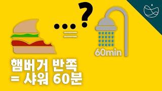 한국의 음식물 쓰레기 문제