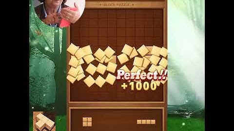 Train your brain-Wood Block Puzzle-C31-1:1