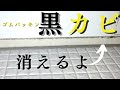 【ゴムパッキンの黒カビ】お風呂のドアが白くなった！かびとりいっぱつ！