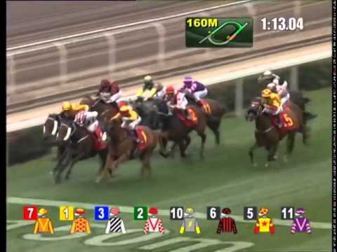 2014 The Queen's Silver Jubilee Cup (HK Group 1)