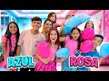 A prima chata da jssica tentou estragar a festa azul e rosa na casa do estevo