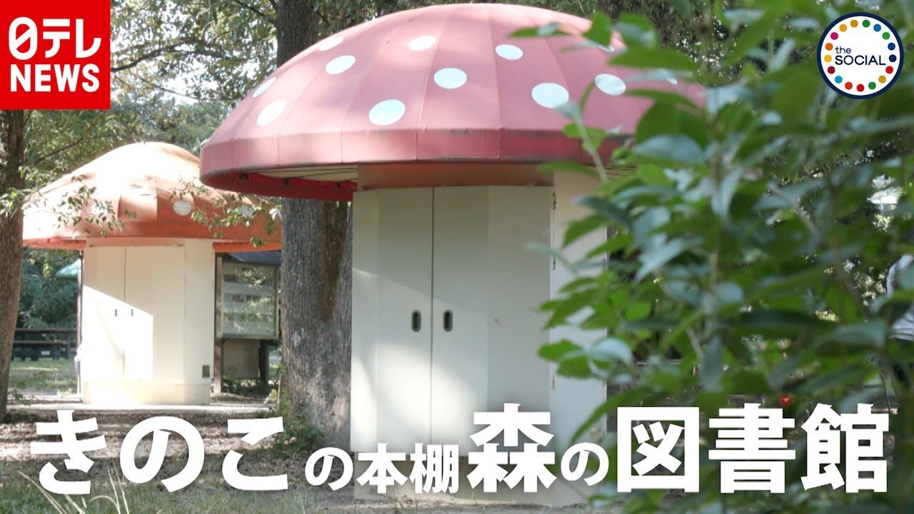 デンマークの図書館で購入！北欧キノコトレイFLORA Tidens Svampguide