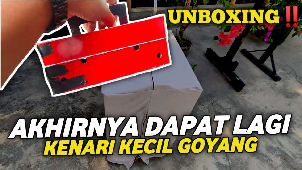 UNBOXING‼️DAPET KENARI GOYANG LAGI HARGA GAK SAMPE 500 RIBU