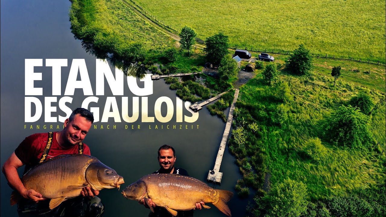 Etang des Gauloise, Fangrausch nach der Laichzeit | Baitlounge | Karpfenangeln | The Carpspecialist
