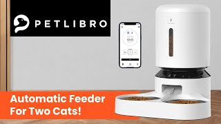 Petlibro Automatic Feeder for two cats  Feeder For Multiple Cats