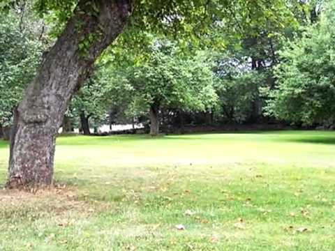 21 Pear Tree Lane, Dallas Township, PA home video tour