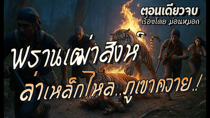 พรานเฒ่าสิงห์..ล่าเหล็กไหลภูเขาควาย.! (ตอนเดียวจบ)