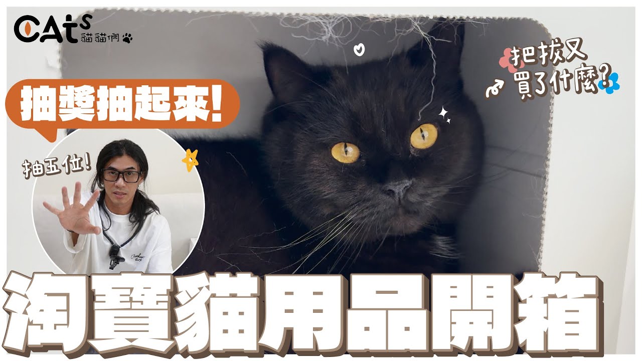 淘寶貓用品開箱/大推除毛神器/抽獎抽起來