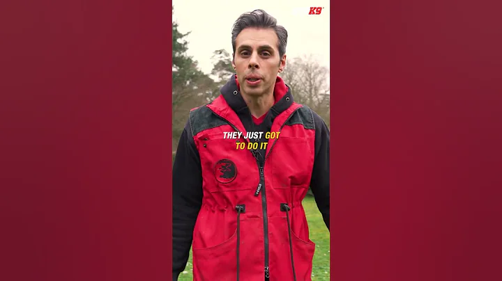 What comes First for Puppies? #shorts