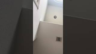 Just for a Moon [RYANIMA Freeflow]