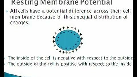 Biological Sciences: Ions and RMP