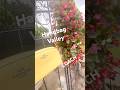 HANDBAG VALLEY COACH MADI CROSSGRAIN LEATHER BAG & more handbags 2026 #coach #gardenwalk