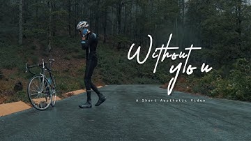 JONY, HammAli & Navai - Without You 😔🥀 | Short Aesthetic Video | Sixteen Nine