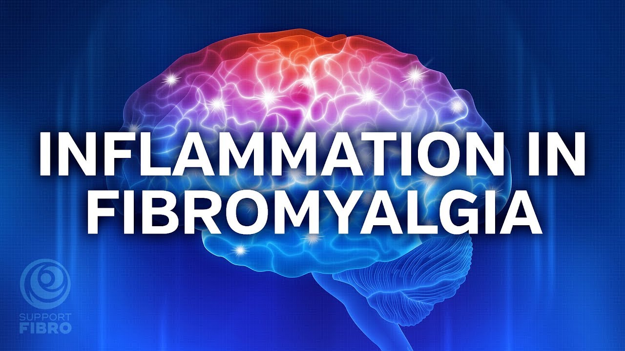 Inflammation in Fibromyalgia - What is new research telling us?