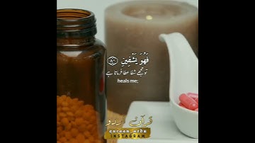 سورة الشعراء: ٧٨-٨١|As Shua'raa: 78-81|المنشاوي|Sheikh Minshaawi|قرآن اردو ترجمہ|Quran Translation
