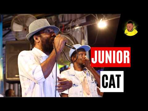 Junior Cat in Rub A-Dub-Style (The Lyrical Assassin)