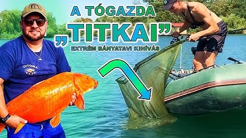 A TÓGAZDA elárulta a TITKAIT, és ez lett belőle…🤫🐳💎
