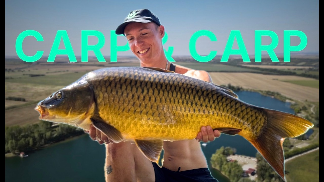 Vampire - Carp & Carp