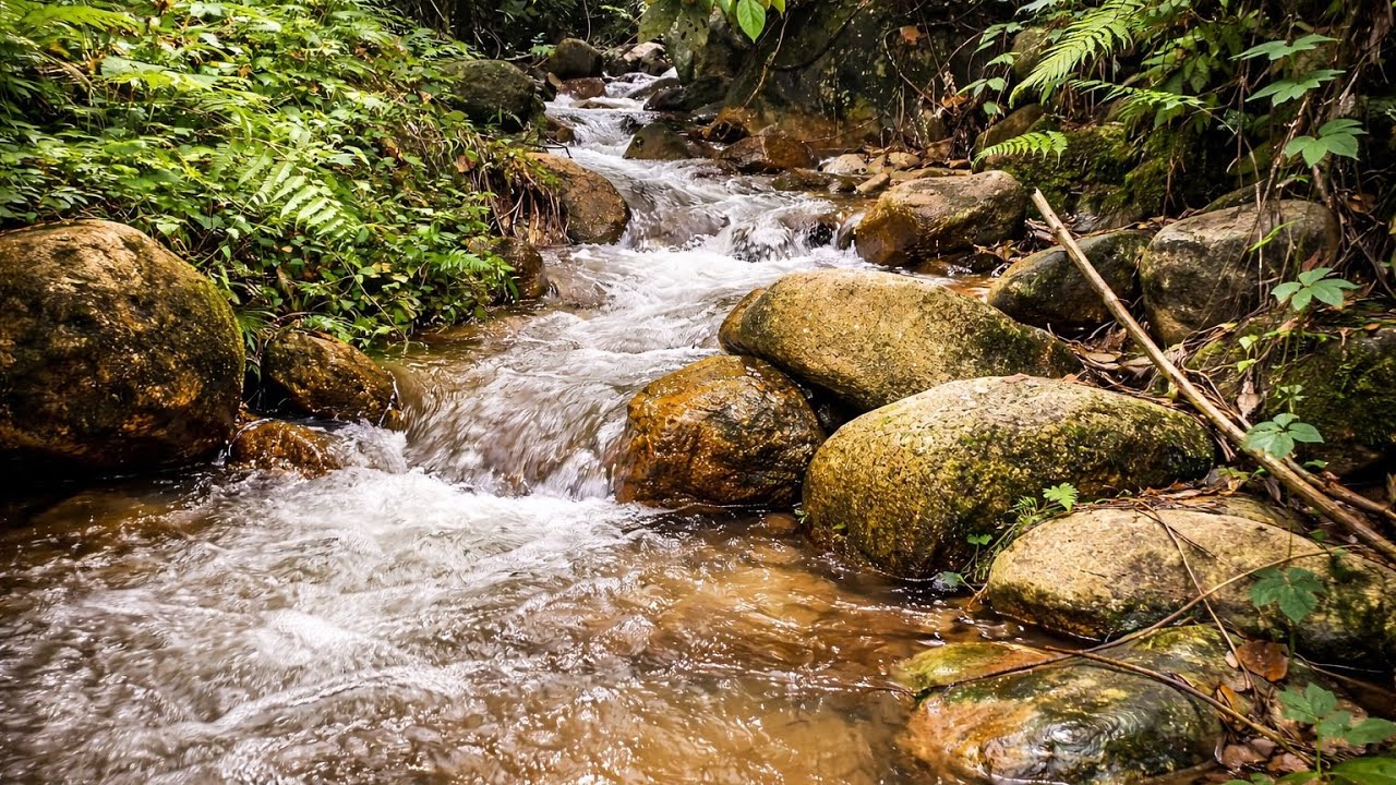 2 Hours of Relaxing Forest Stream Sounds | Natural Water Sounds for Sleep, Study & Stress Relief