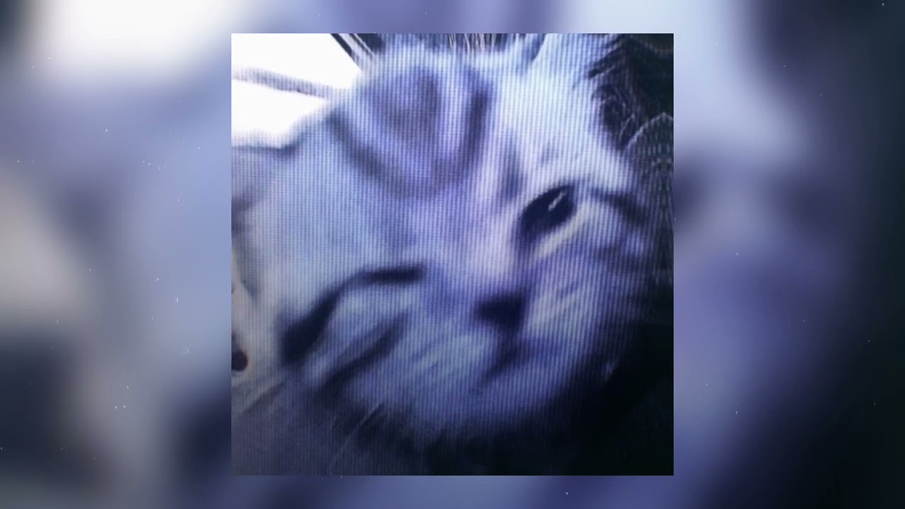 gigi d'agostino — l'amour toujours 1999 [ sped up // nightcore] ˖ ࣪ ‹ 𖥔