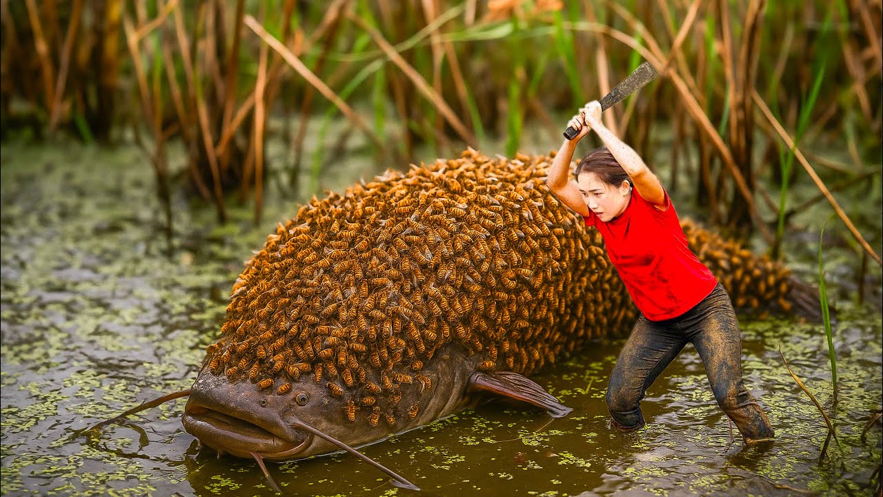 How to Catch Fish In The Summer - Wild River Fishing Adventure - Ly Thi Hoa