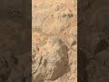 We sent a camera smarter than most doctors to Mars. Sol 1,785 is its masterpiece. 🤖❤️ #mars