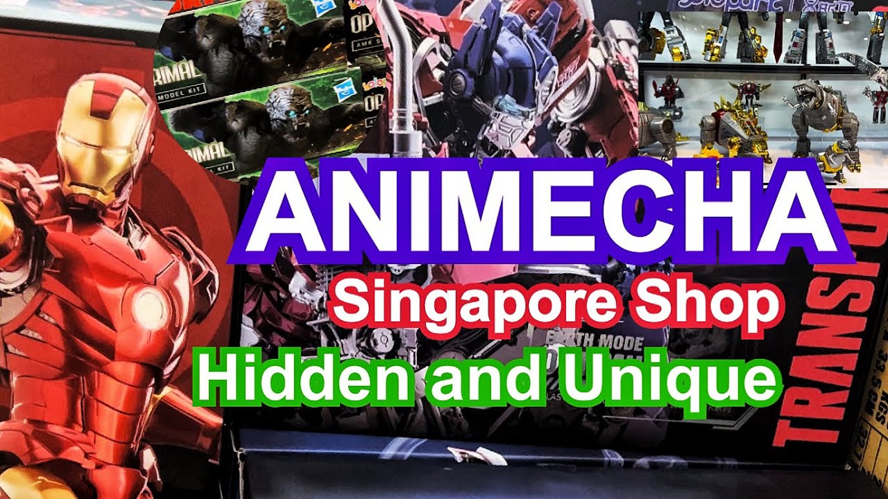 AniMecha the shop to buy Transformers Model kits in Singapore 🇸🇬 - YouTube