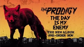 The Prodigy - The Day Is My Enemy (The New Album)