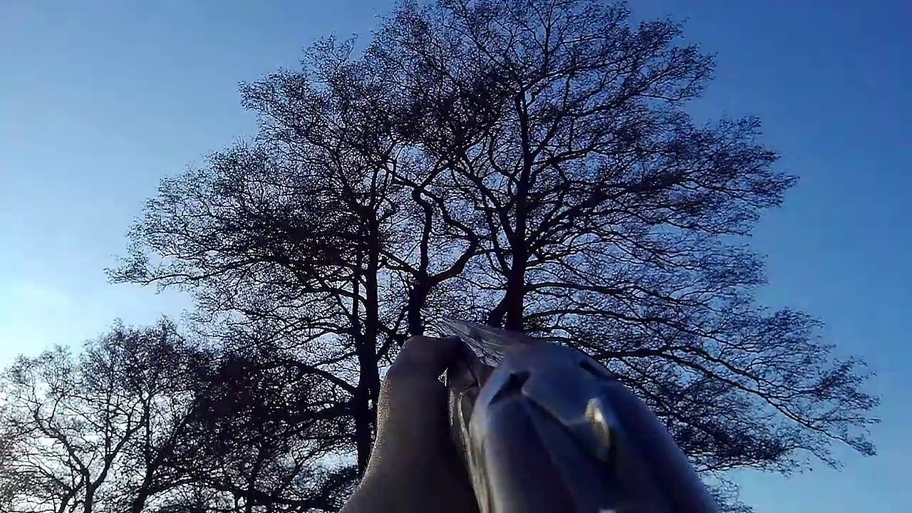 End of season mop up. Hull cartridge special pigeon 32gr 6's (aim cam