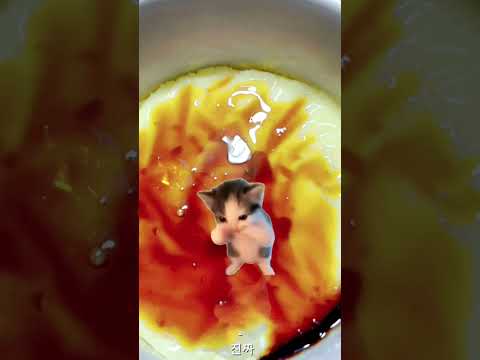 푸딩에서 이상한게 나왔다 #추천추천추천추천추천추천추천추천추천추천