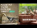 Birds Need YOU this Summer | Every Bird Needs Water - Save Birds - Help Birds