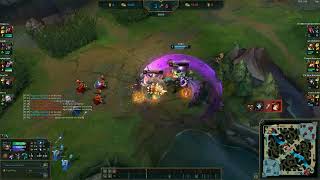 Tahm kench double