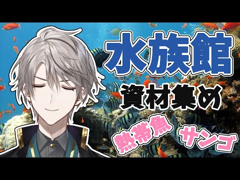 【 Minecraft 】水族館の熱帯魚とサンゴ集め！仮組みもしたい！【甲斐田晴/にじさんじ】