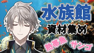 【 Minecraft 】水族館の熱帯魚とサンゴ集め！仮組みもしたい！【甲斐田晴/にじさんじ】
