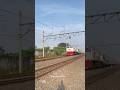 KA Papandayan Gambir-Garut via sta Purwakarta & Bandung #fyp #kai #keretaapi #train #railfan #shorts