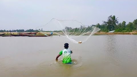 Unbelievable Cast Net Fishing | Fisherman vs River Catch Netting Fishing Video