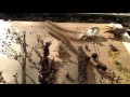 Wildflower Seed Collecting & Sowing Wildflower Seed Collecting & Sowing