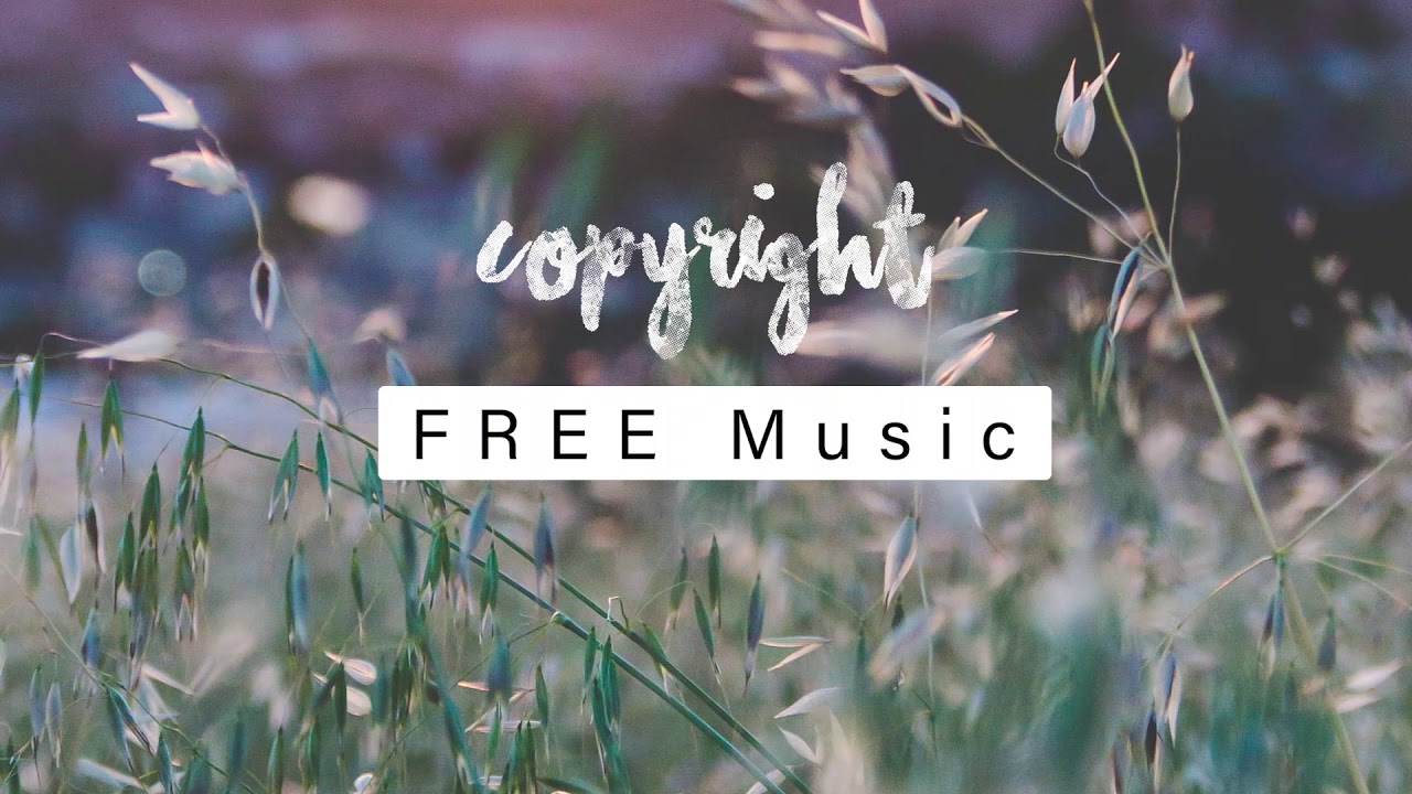 Download Herbal Tea Artificial Music Vlog No Copyright Music Mp3 Mp4 3gp Flv Download Lagu Mp3 Gratis