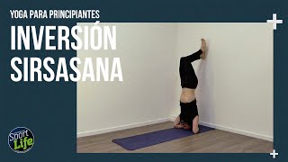 ☯ YOGA PARA PRINCIPIANTES ☯ Inversión Sirsasana paso a paso | SPORT LIFE