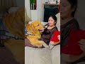 🥰Nothing is greater than maa# #simmba 🦮🐶