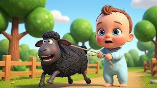 Baa Baa Black Sheep  | Dudu dada Nursery Rhymes & Kids Songs