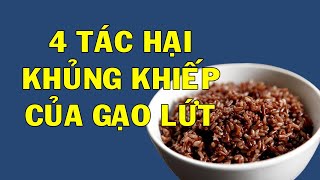Giật Mình 4 Tác Hại Kinh Khủng Của Gạo Lứt, Chữa Biết Tuyệt Đối Cấm Ăn