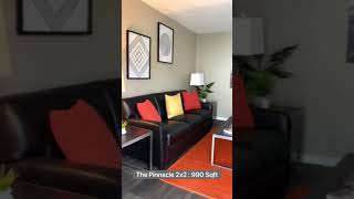 The Pinnacle 2x2: 990 Sqft