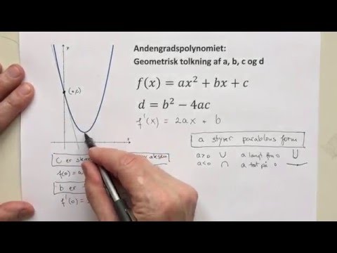 Andengradspolynomiet - betydning af a, b, c og d