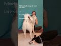 Full workout here https://youtu.be/NXrOe0OGWd4?si=tLzuqKhIXsIo4OUJ