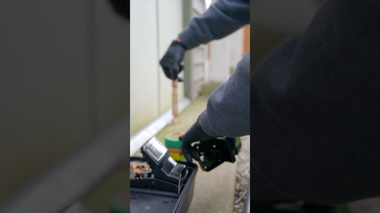 Setting Up Rat Traps