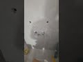 Duravit Waschtisch + Unterschrank Montage 🔧🪛🔩💪